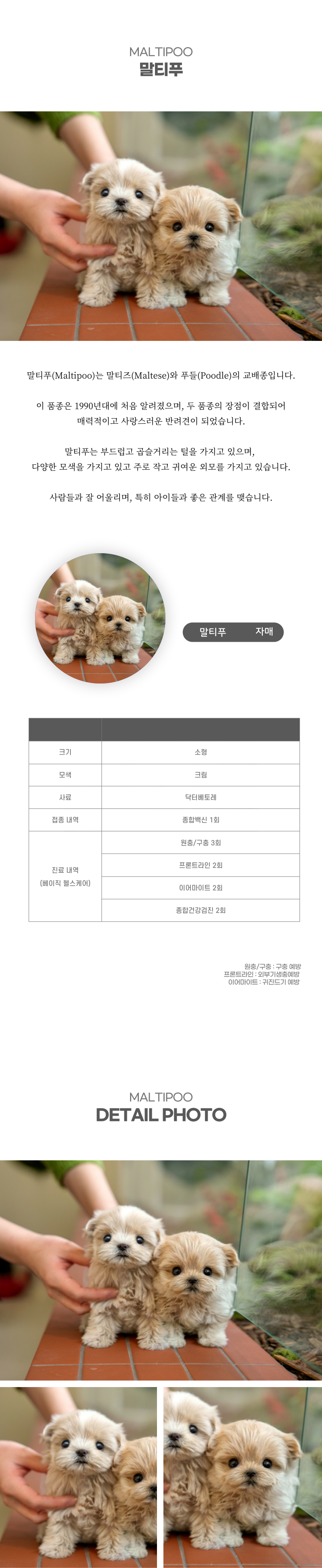 말티푸_상세이미지_2